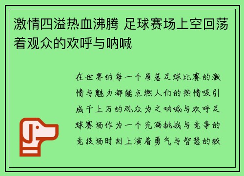 激情四溢热血沸腾 足球赛场上空回荡着观众的欢呼与呐喊