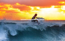 悟空体育官网-泳坛新星闪耀世锦赛 突破自我再攀高峰