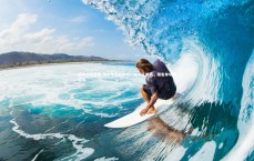 悟空体育官网-锡安单场狂砍分，创个人新高，锡安单场最高分