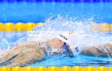 悟空体育官网-塞尔维亚国家队连战连捷展英勇士气 团结拼搏铸就绿茵传奇