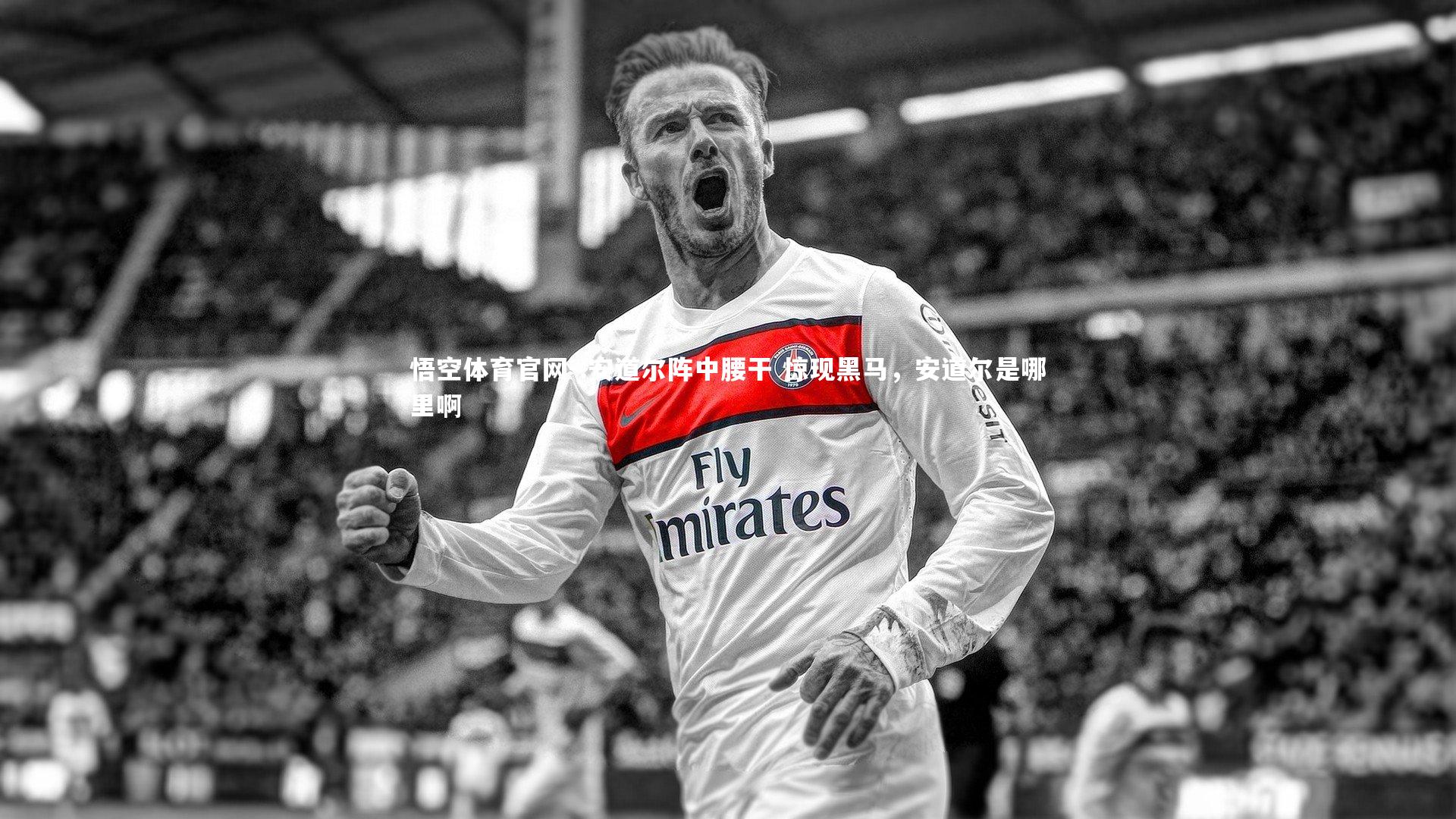 .安道尔阵中腰干 惊现黑马,安道尔是哪里啊