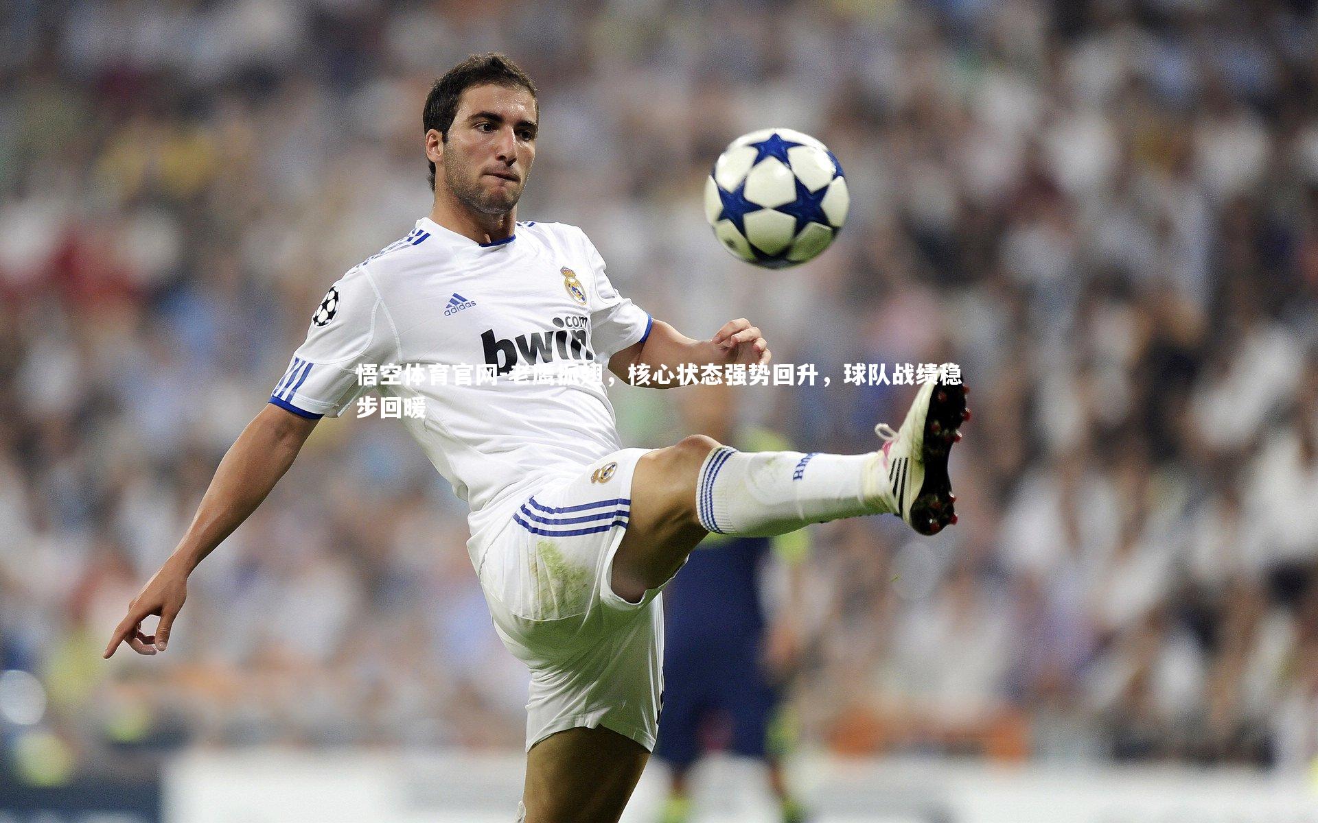 老鹰振翅，核心状态强势回升，球队战绩稳步回暖