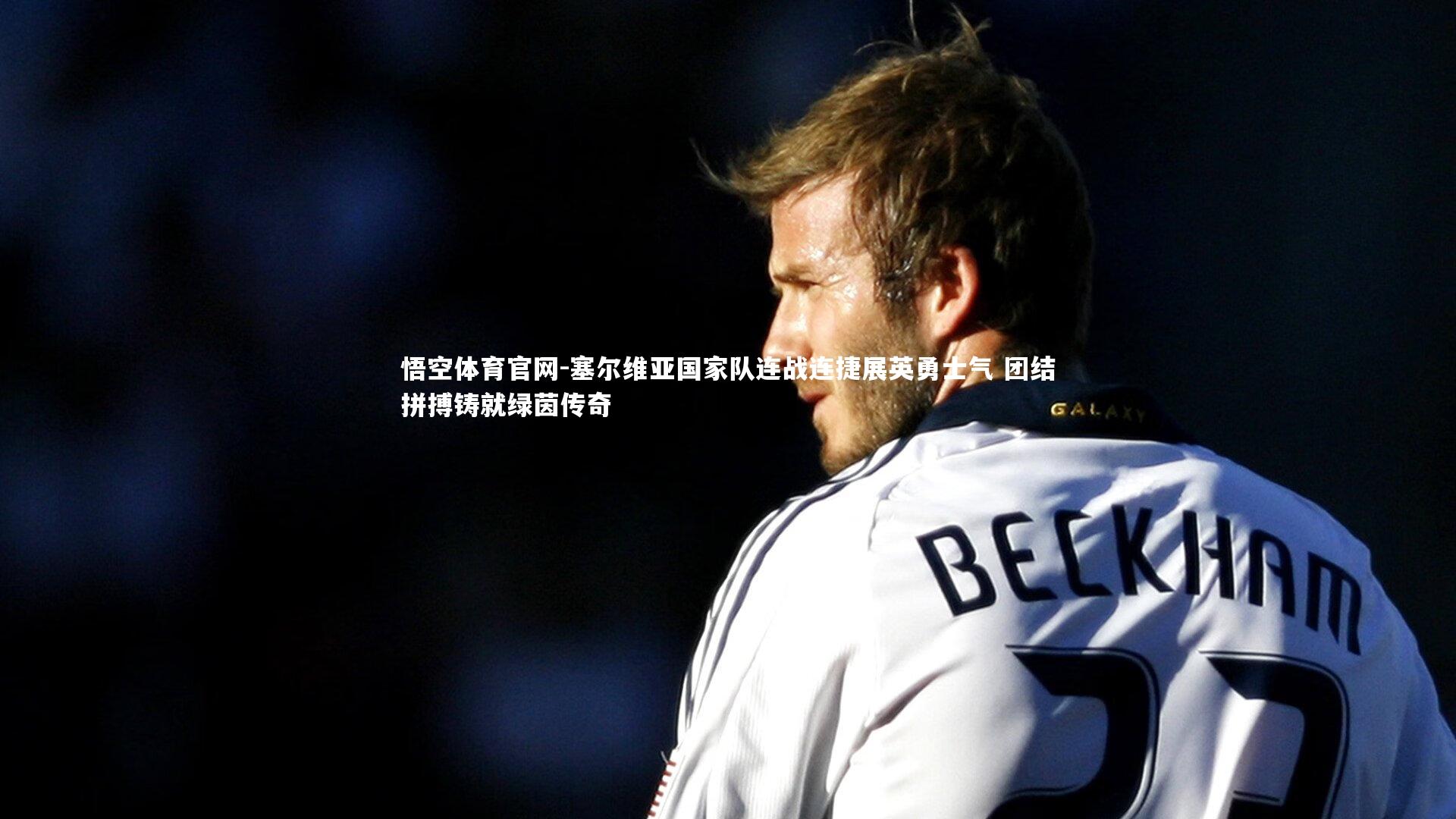 塞尔维亚国家队连战连捷展英勇士气 团结拼搏铸就绿茵传奇