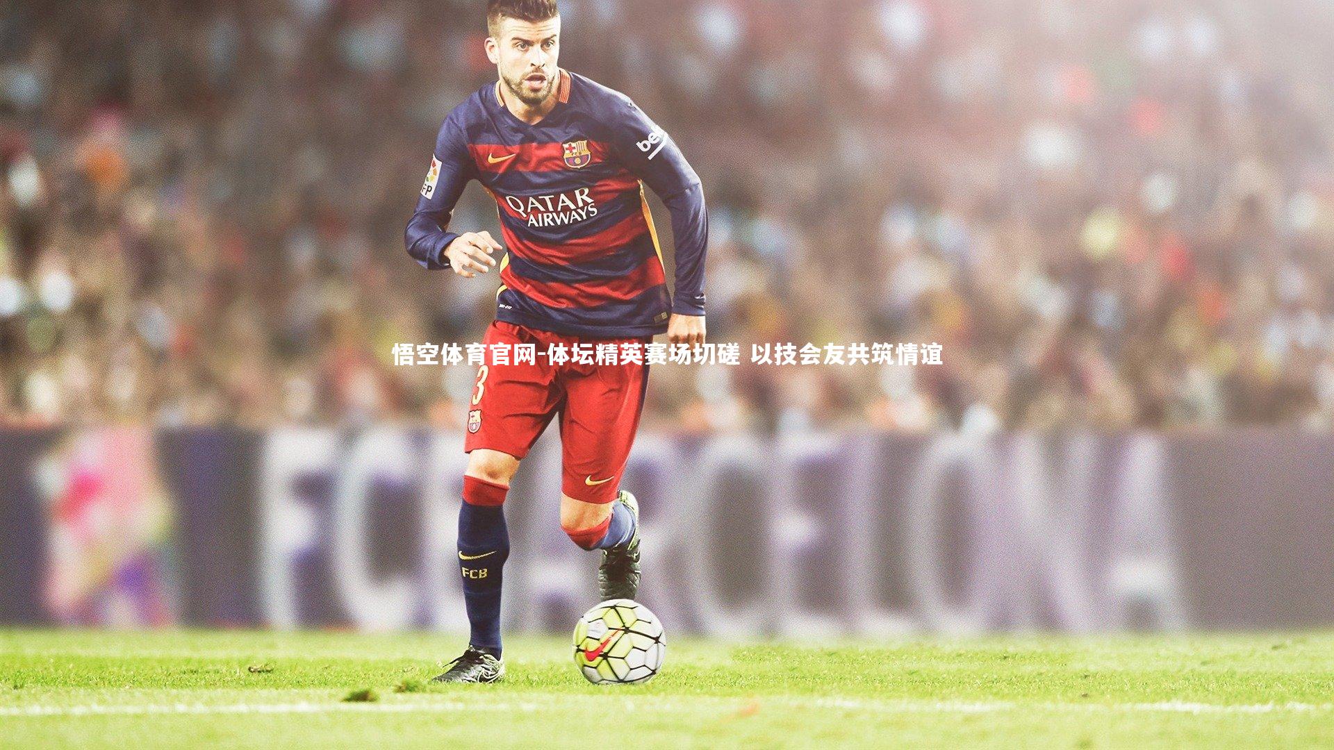 体坛精英赛场切磋 以技会友共筑情谊